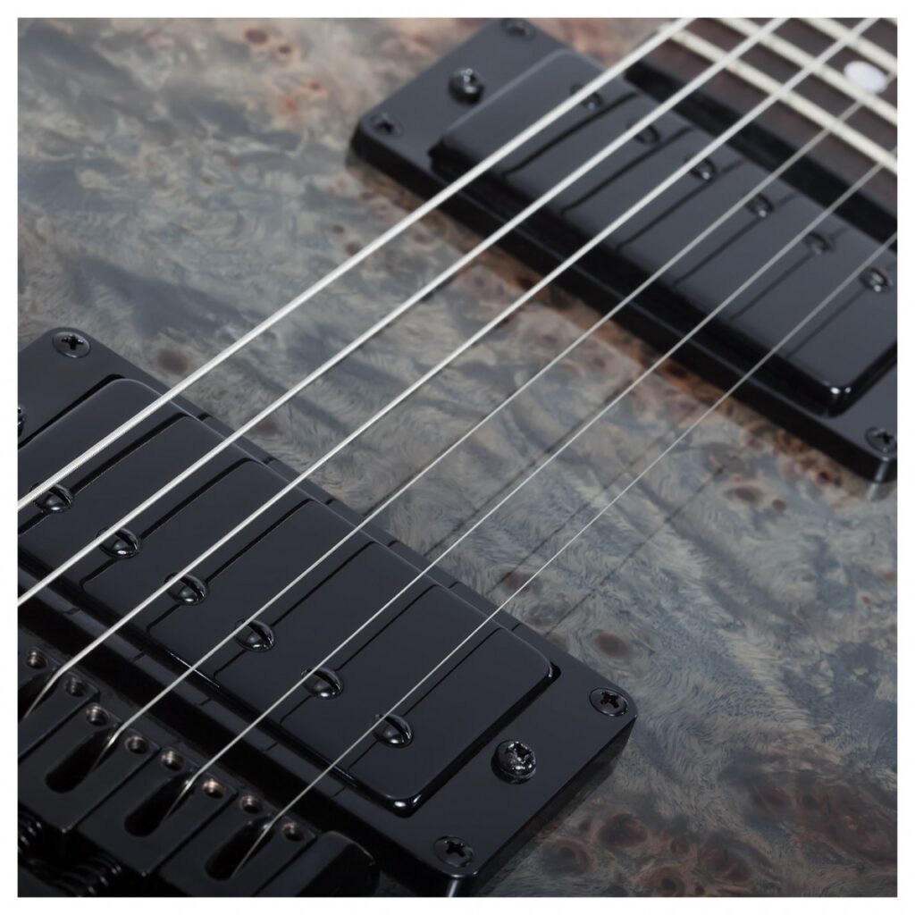 Schecter PT Standard Burl Black Fade Burst