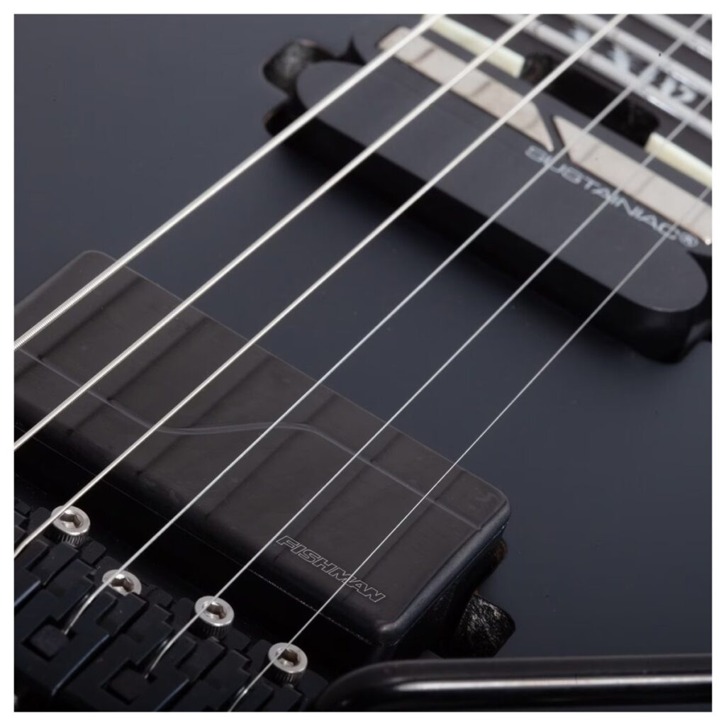 Schecter PT FR-S SLS Elite Evil Twin Satin Black