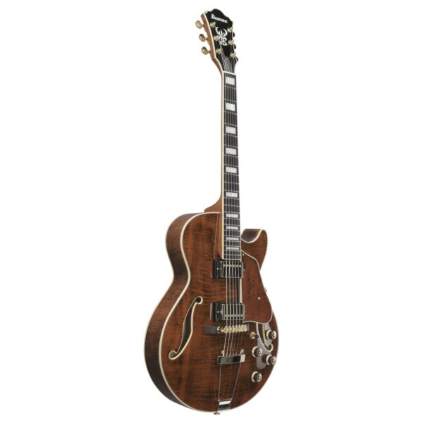 Ibanez AG95MG Artcore Expressionist Dark Amber