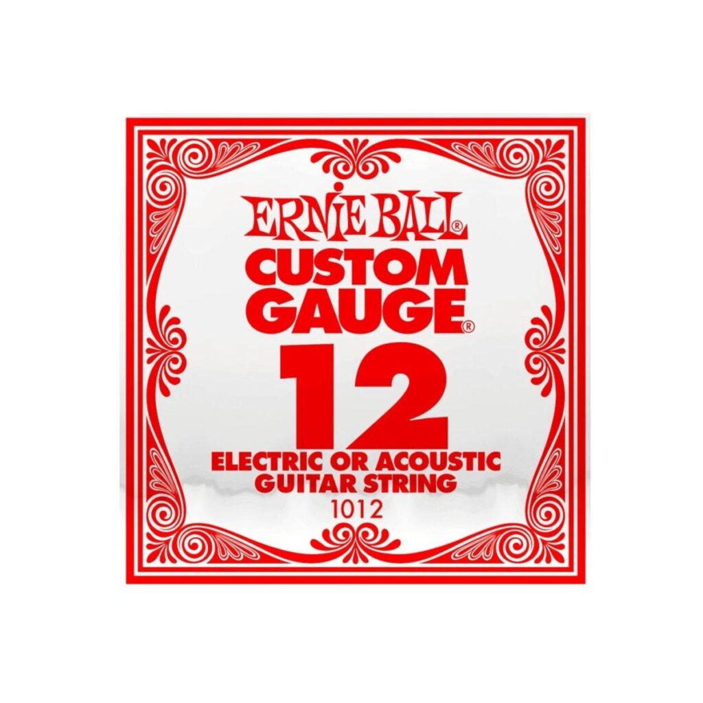 Ernie Ball 1012 Single .012 Plain Steel String
