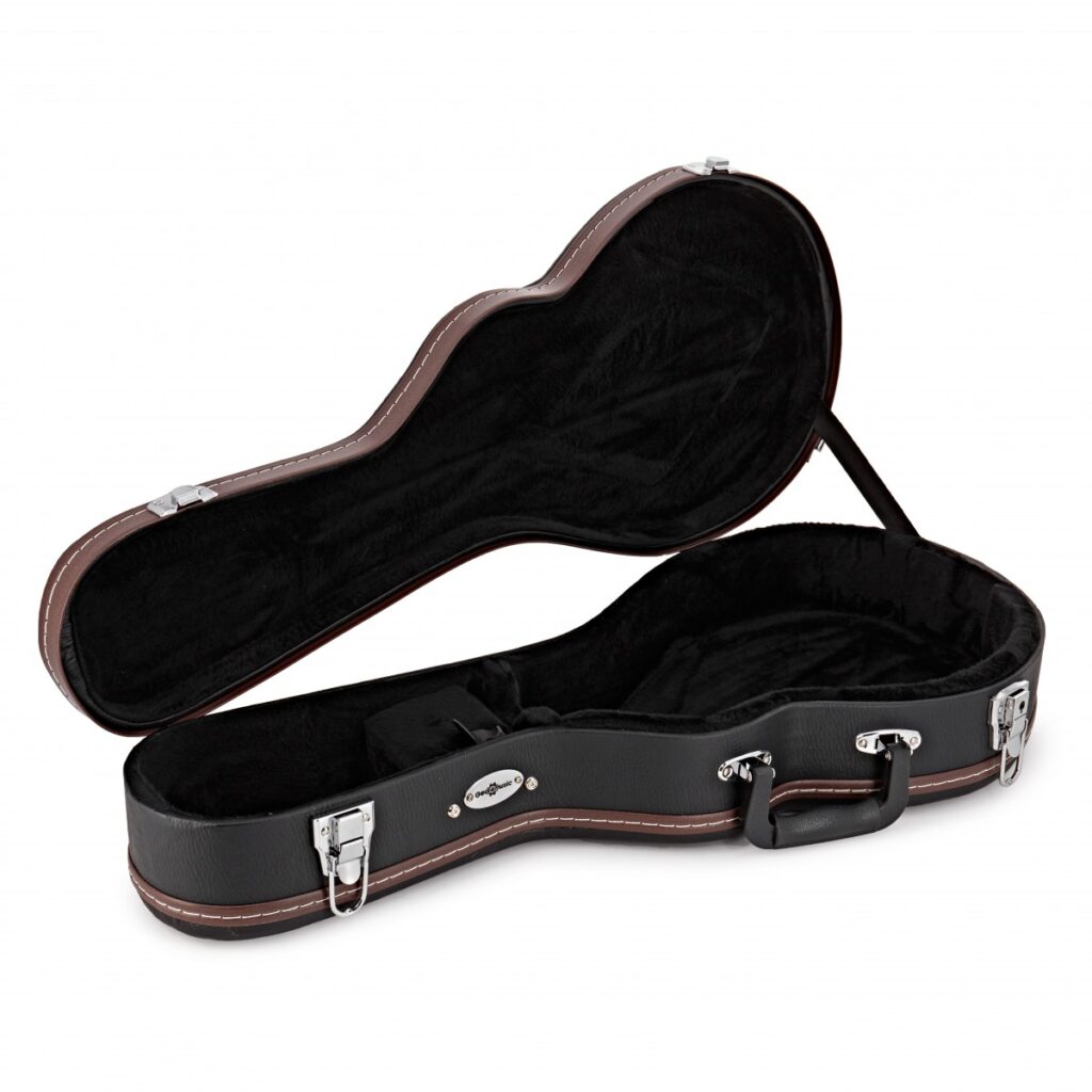 Mandolin Case