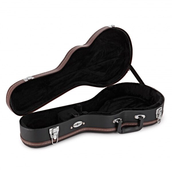 Mandolin Case - Image 1