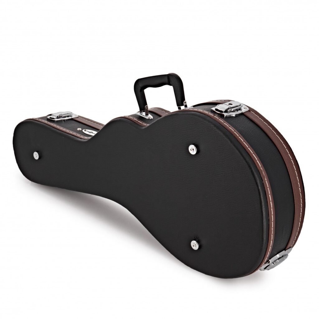 Mandolin Case