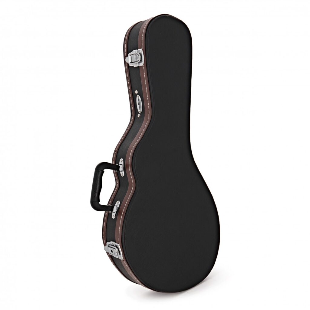 Mandolin Case