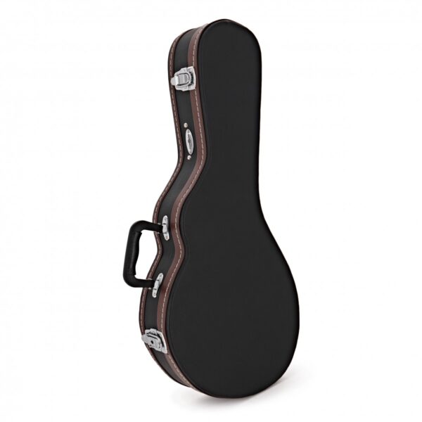 Mandolin Case - Image 3