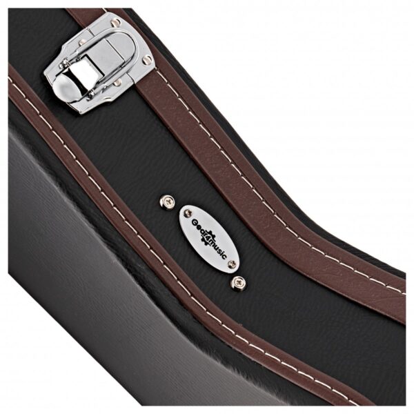 Mandolin Case - Image 4