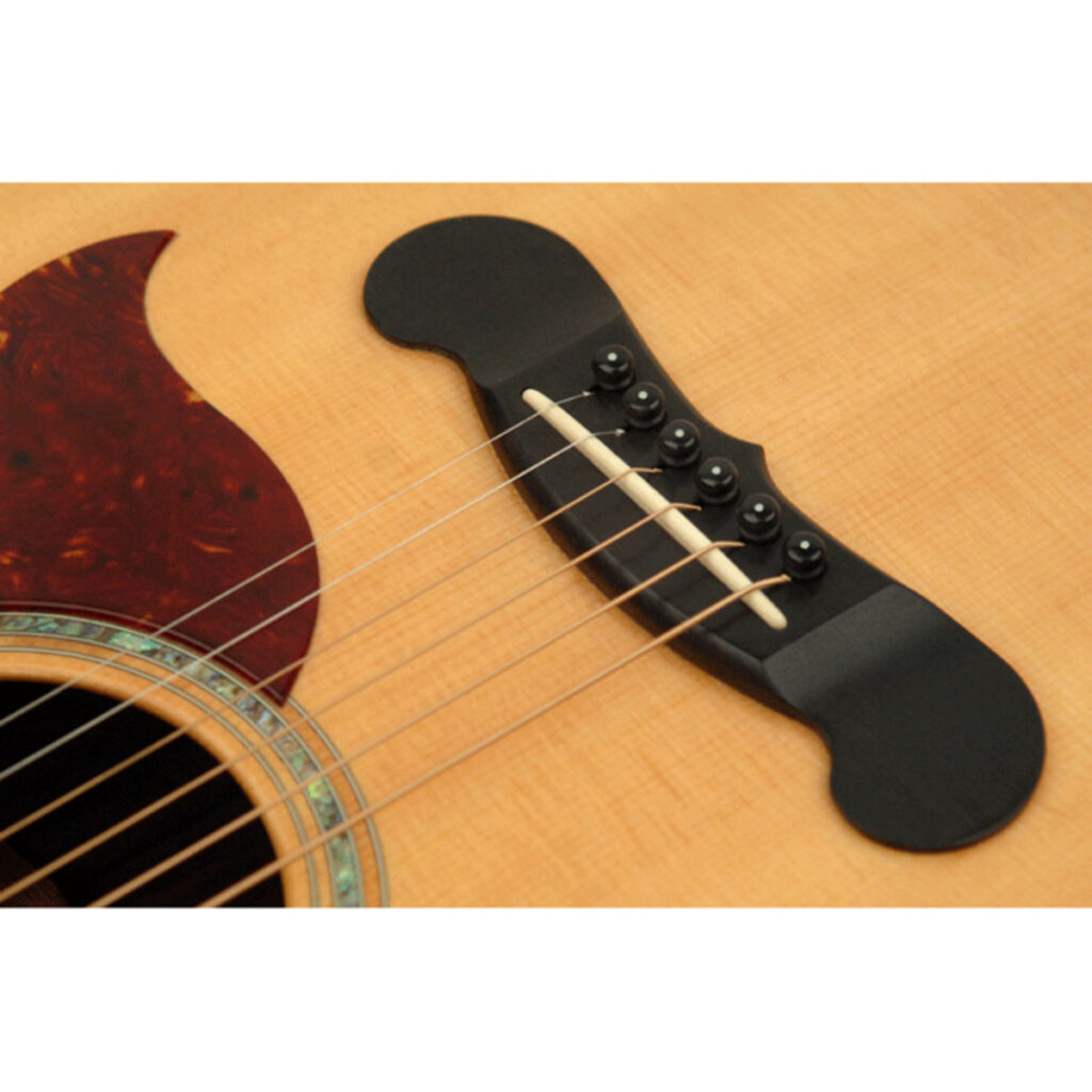 DAddario PWPS10 Plastic Bridge Pins Set Ebony