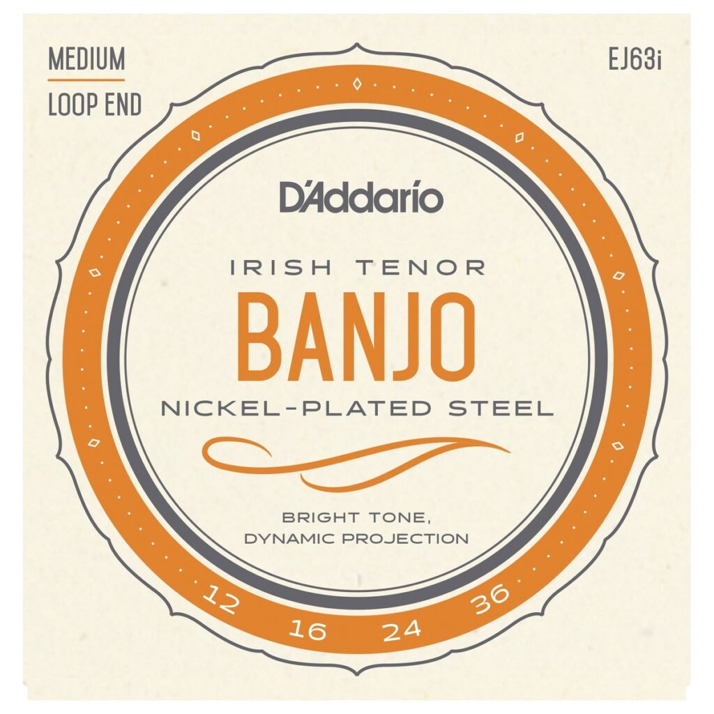 DAddario EJ63i Irish Tenor Banjo Nickel 12-36