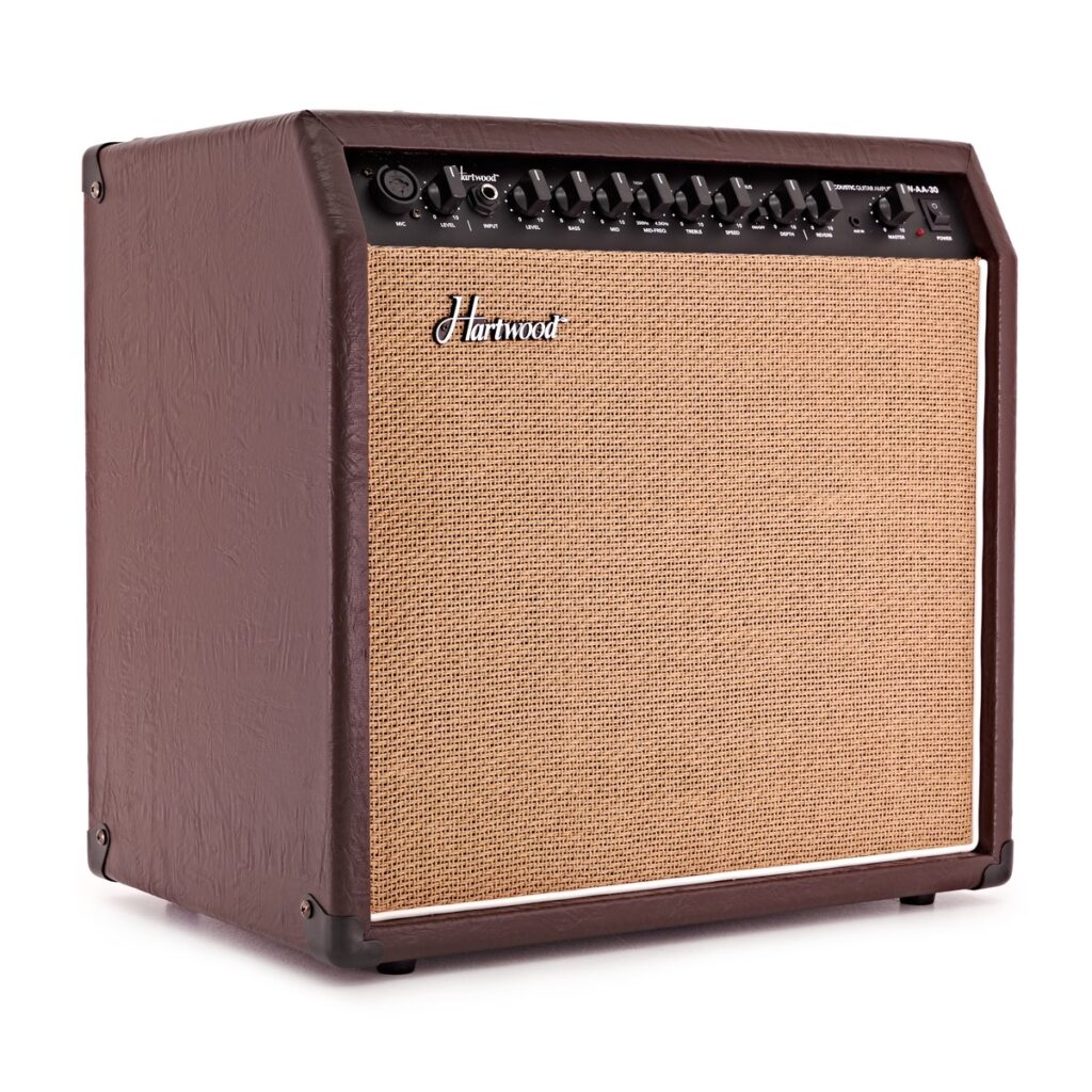 Hartwood 30W Acoustic Guitar Amplifier