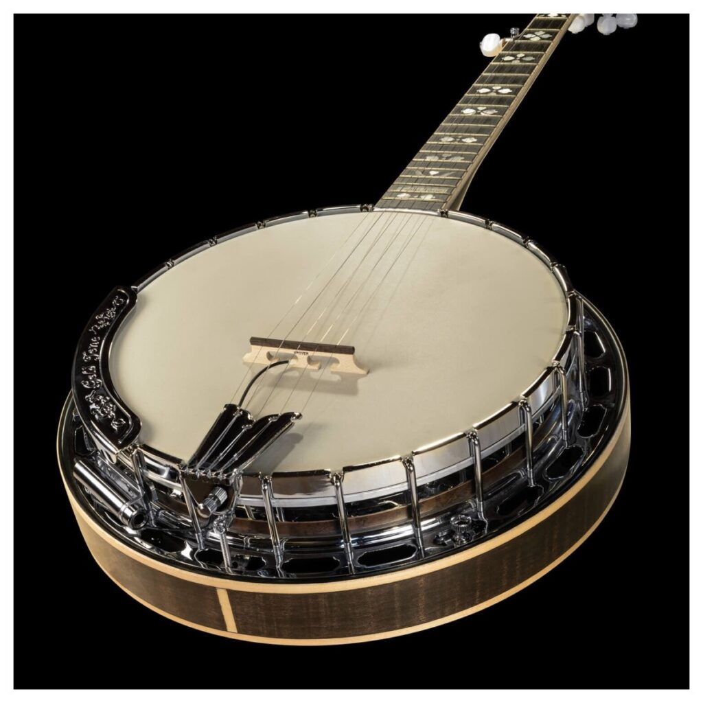 L.R. Baggs 5-String Banjo Pickup