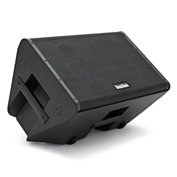 SubZero Praxis10 DSP Musicians Monitor