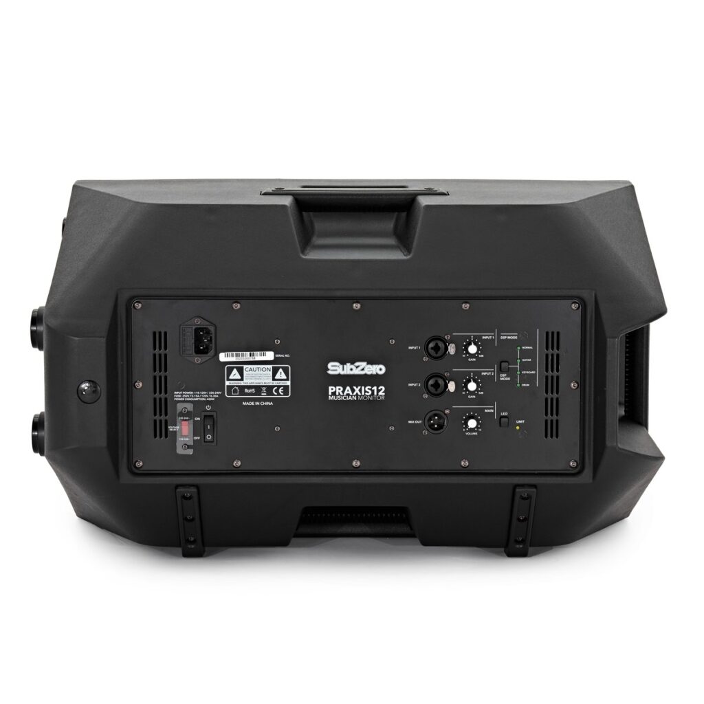 SubZero Praxis12 DSP Musicians Monitor