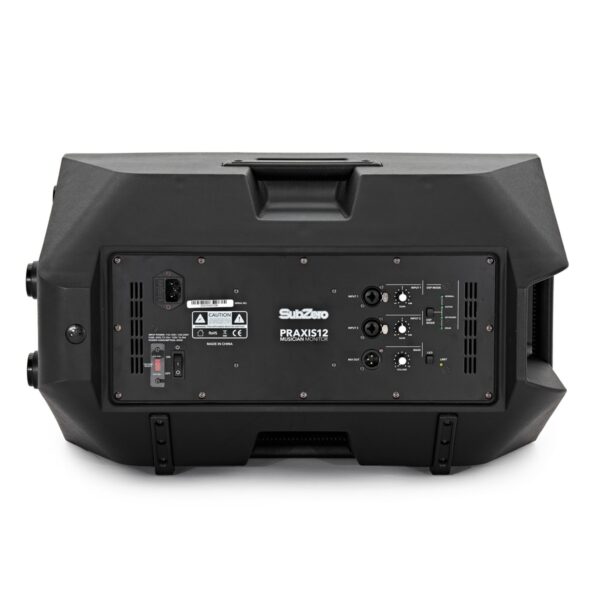 SubZero Praxis12 DSP Musicians Monitor