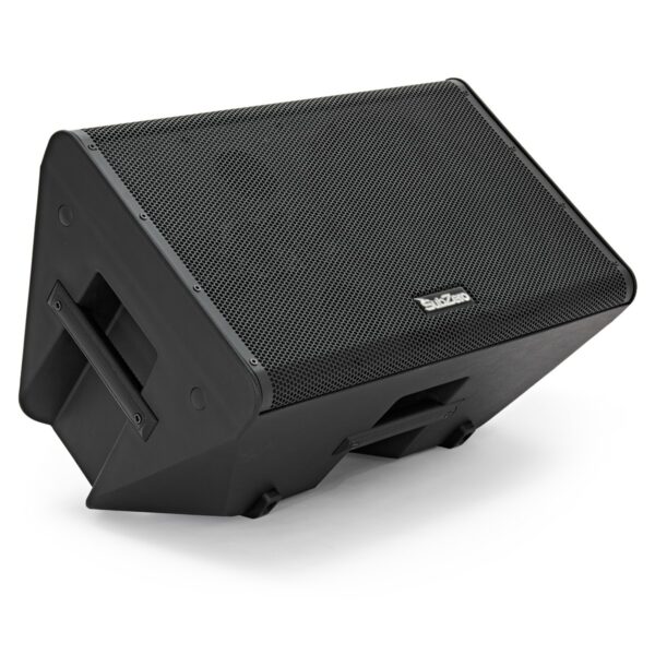 SubZero Praxis12 DSP Musicians Monitor