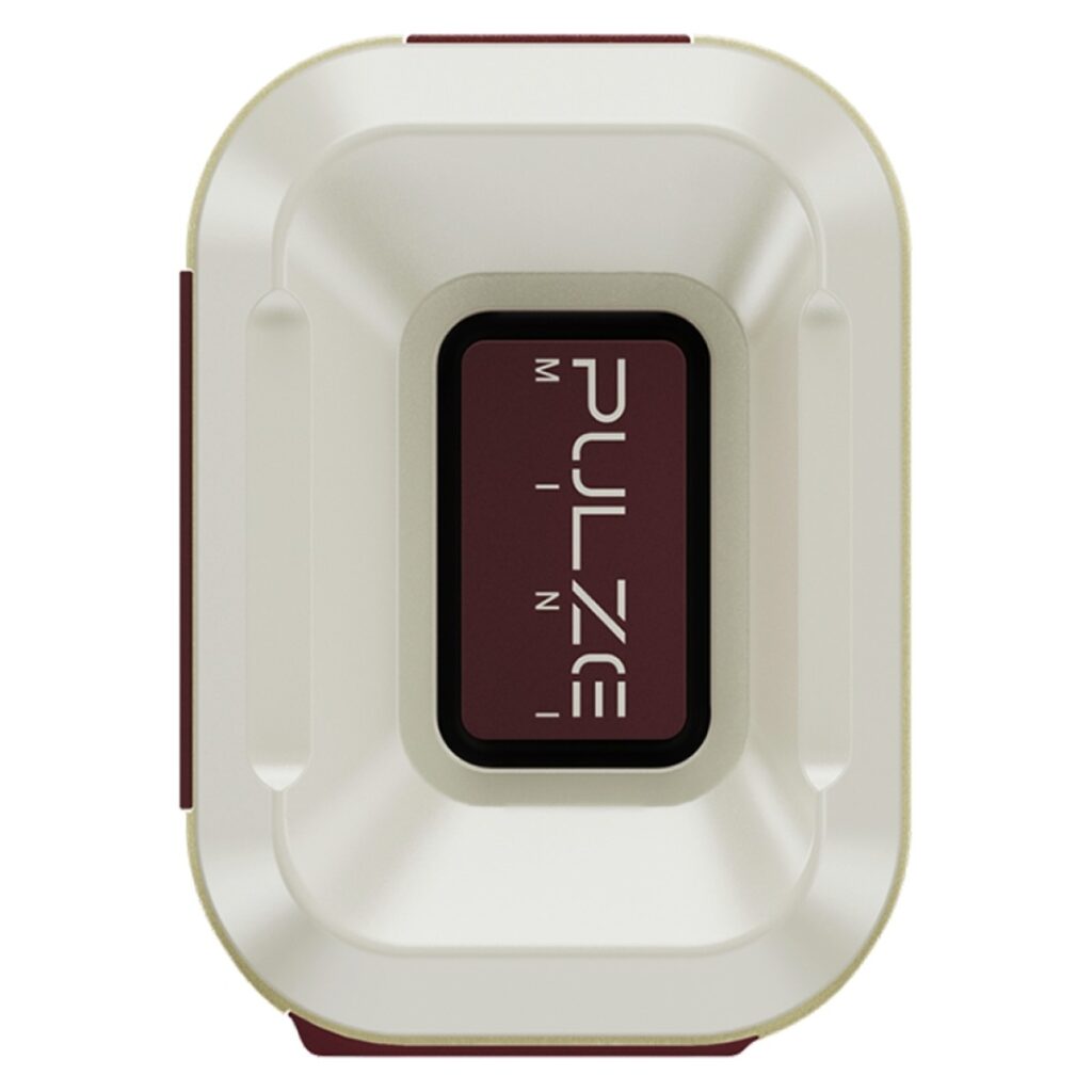 Hotone Pulze Mini Bluetooth Modeling Amplifier