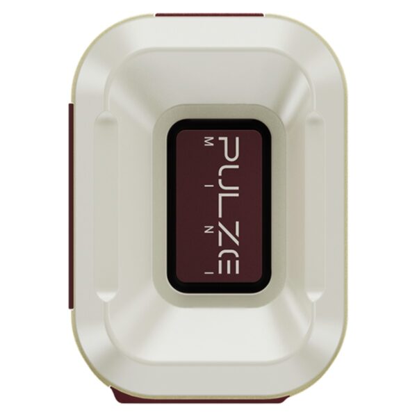 Hotone Pulze Mini Bluetooth Modeling Amplifier