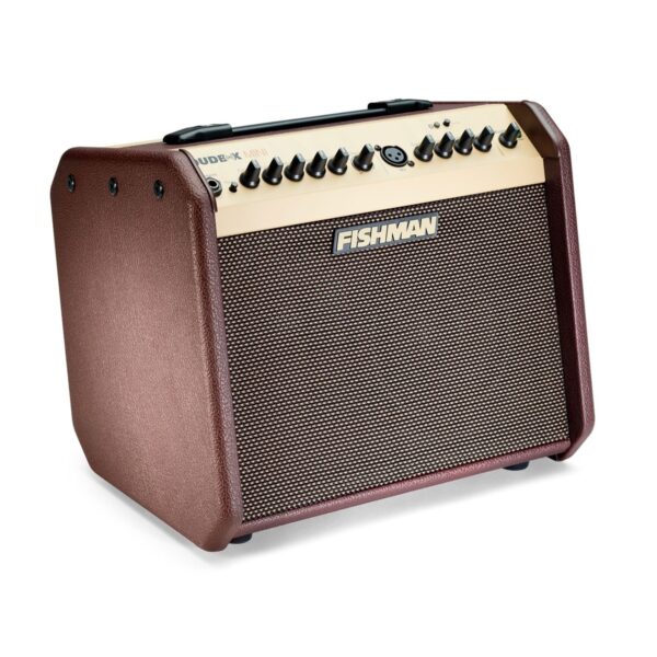 Fishman Loudbox Mini Bluetooth Acoustic Combo - Image 3