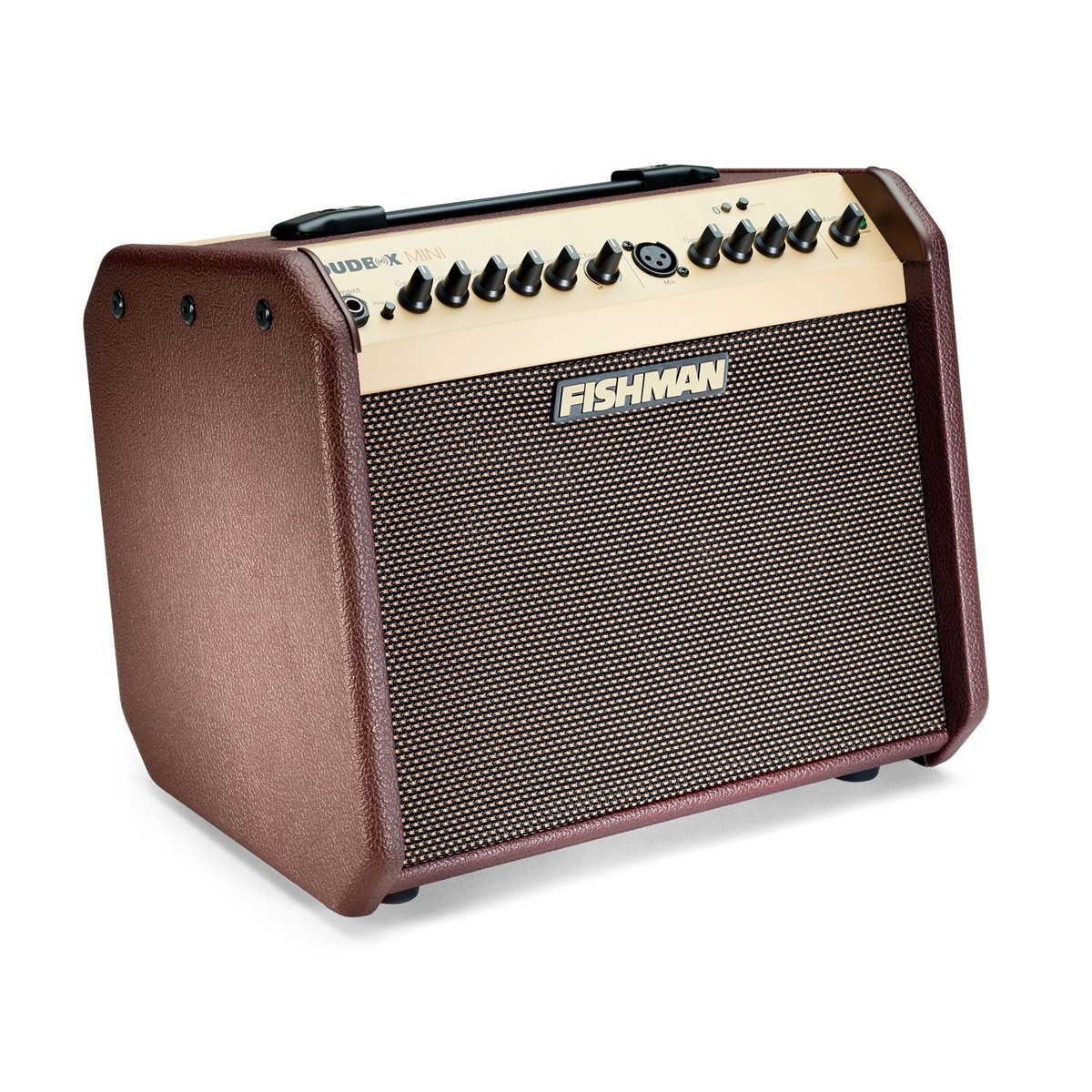 Fishman Loudbox Mini Bluetooth Acoustic Combo - Image 3