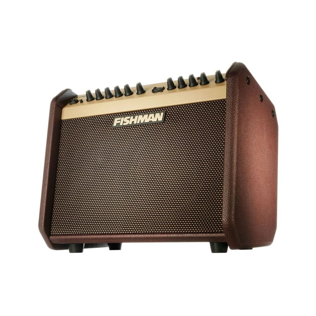 Fishman Loudbox Mini Bluetooth Acoustic Combo