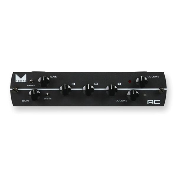 Synergy Morgan AC 2-Channel Preamp Module