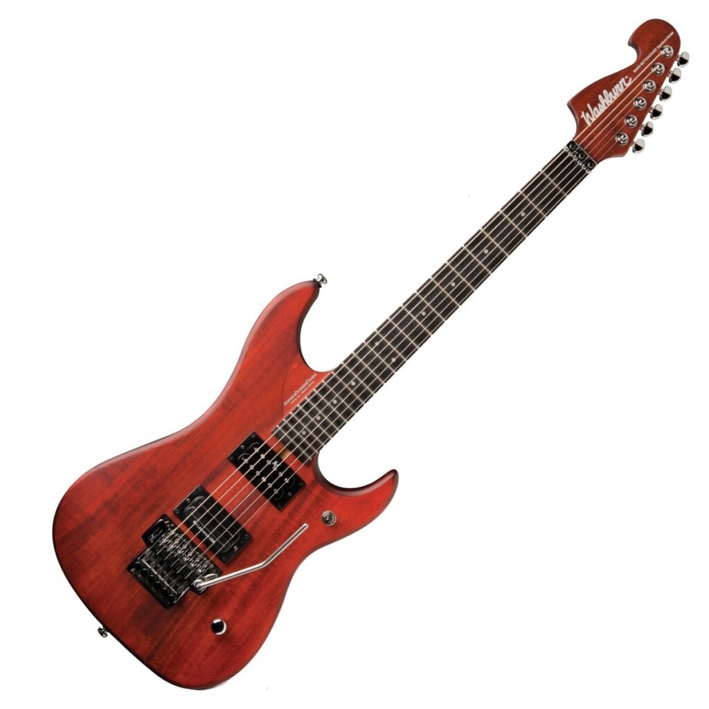 Washburn N24-NUNO Nuno Bettencourt Vintage Paduak