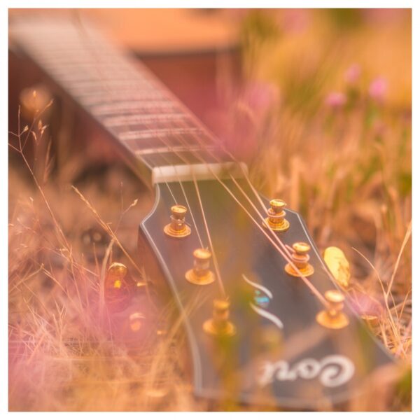 Cort Gold-OC6 Electro Acoustic Natural Glossy - Image 2