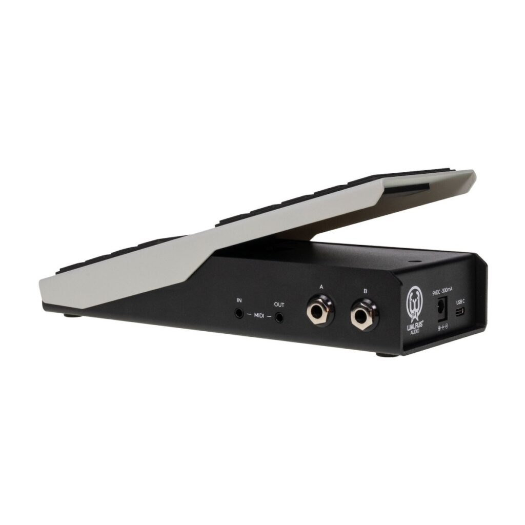 Walrus Audio Canvas Expression Pedal