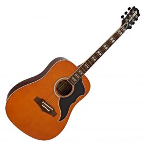 Eko Ranger VI VR Acoustic Natural