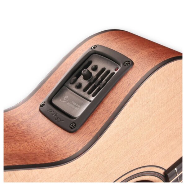 Furch Masters Choice Blue Gc-CM SPE a w/ LR Baggs Stagepro Element