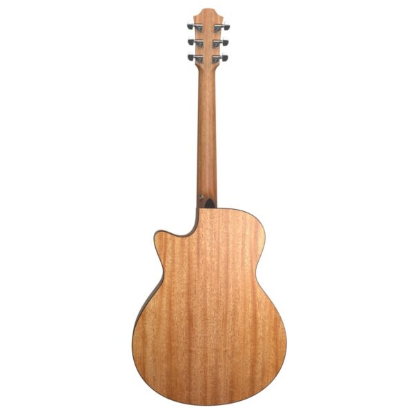 Furch Masters Choice Blue Gc-CM SPE a w/ LR Baggs Stagepro Element