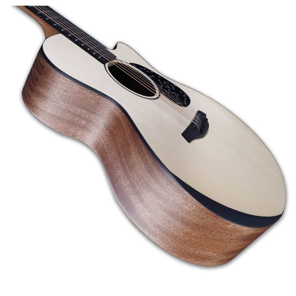 Furch Violet 45th Anniversary Gc-EM a Anthem Acoustic Guitar