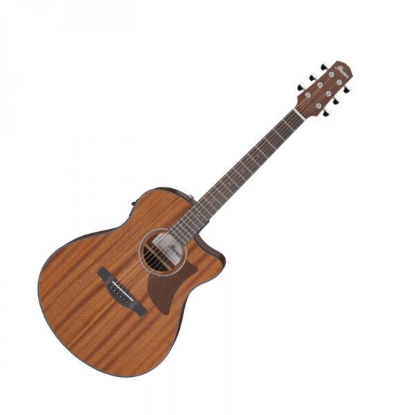 Ibanez AAM54CE Open Pore Natural
