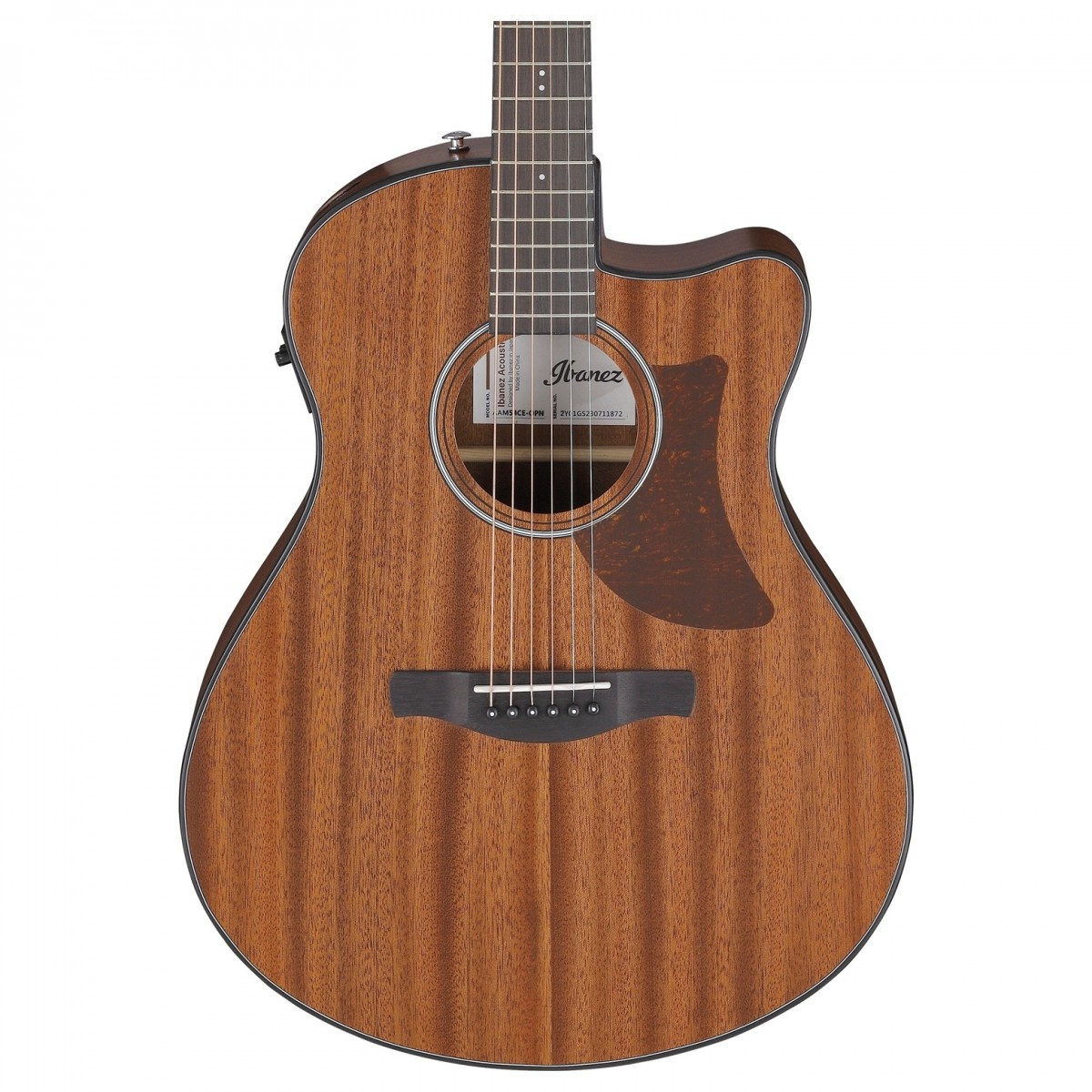 Ibanez AAM54CE Open Pore Natural
