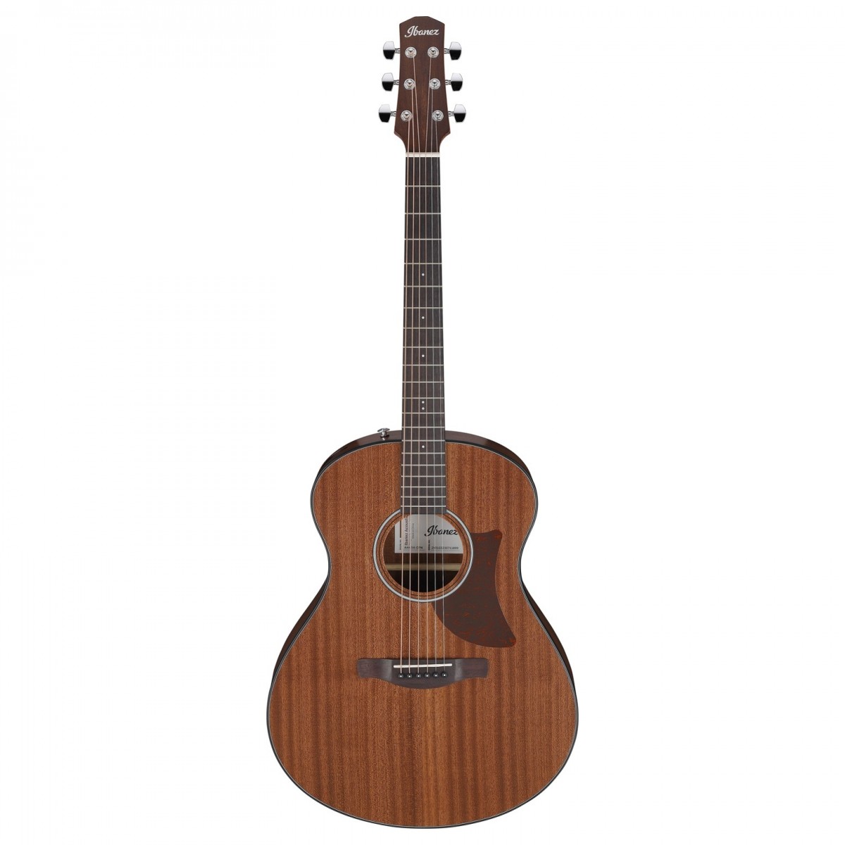 Ibanez AAM54 Open Pore Natural