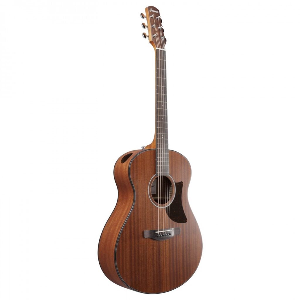 Ibanez AAM54 Open Pore Natural