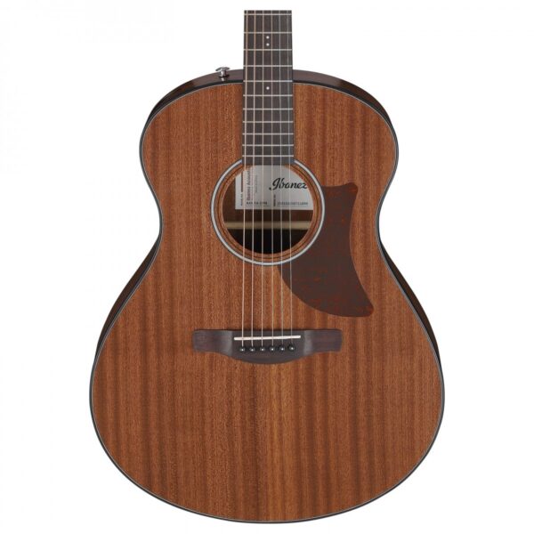 Ibanez AAM54 Open Pore Natural