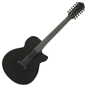 Ibanez AEG1221 12-String Black Out