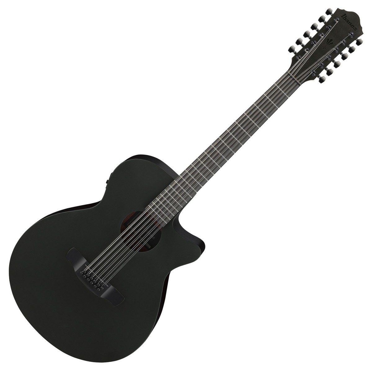 Ibanez AEG1221 12-String Black Out