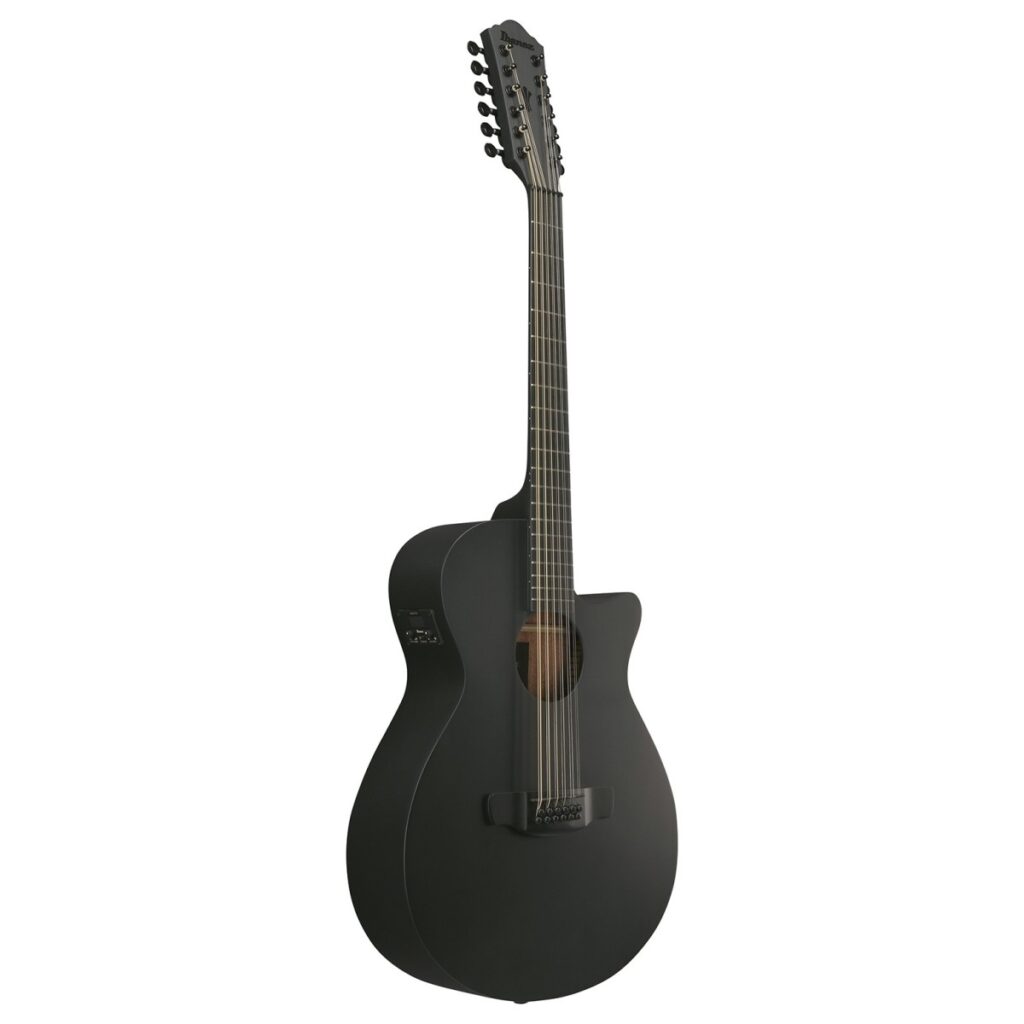 Ibanez AEG1221 12-String Black Out