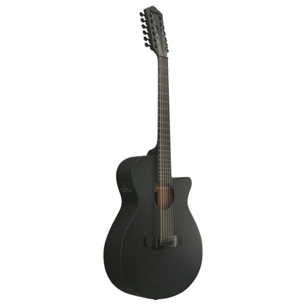 Ibanez AEG1221 12-String Black Out
