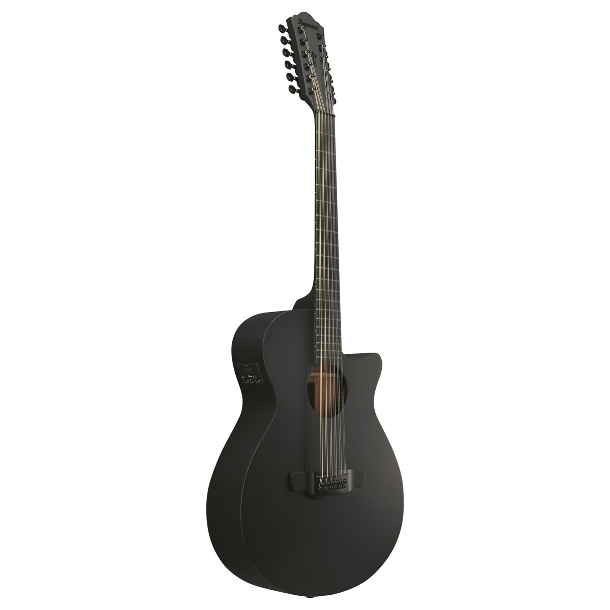 Ibanez AEG1221 12-String Black Out
