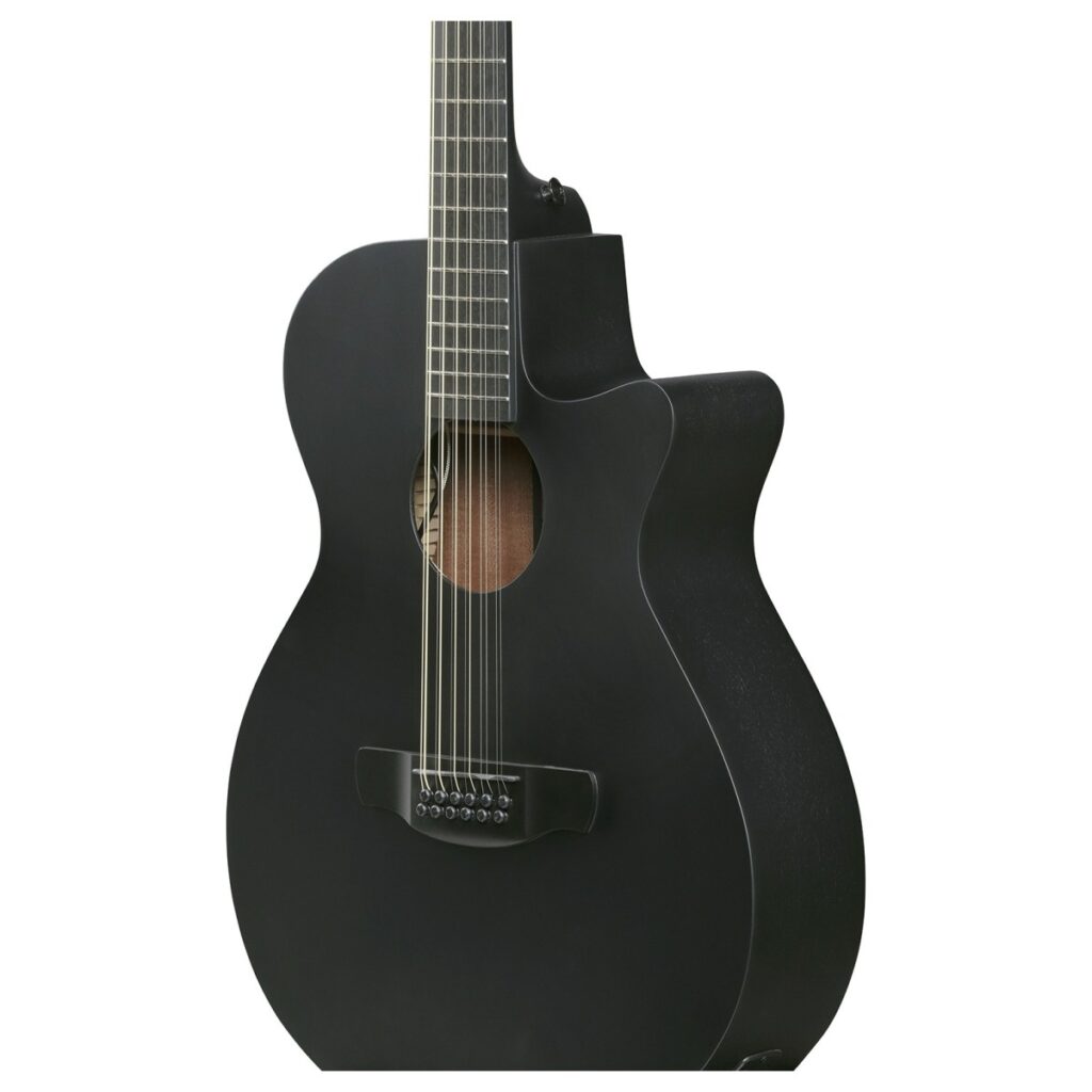 Ibanez AEG1221 12-String Black Out