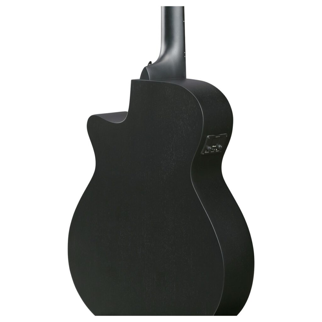 Ibanez AEG1221 12-String Black Out