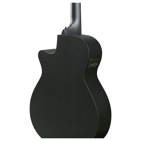 Ibanez AEG1221 12-String Black Out