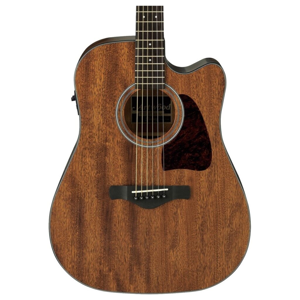 Ibanez AW54CE Artwood Open-Pore Natural