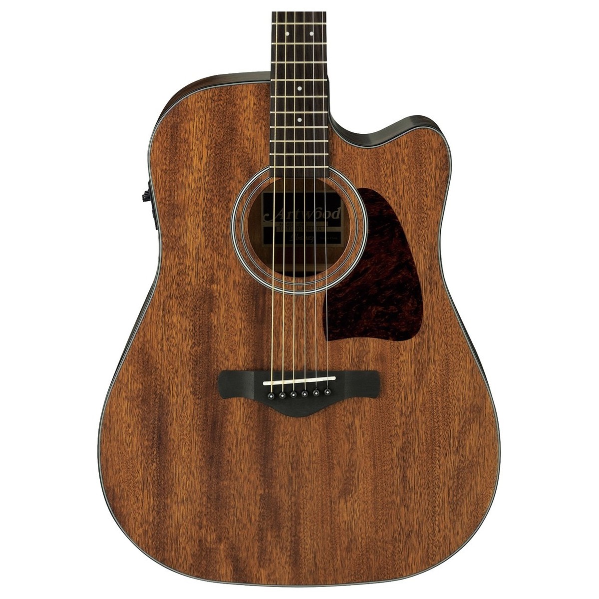 Ibanez AW54CE Artwood Open-Pore Natural
