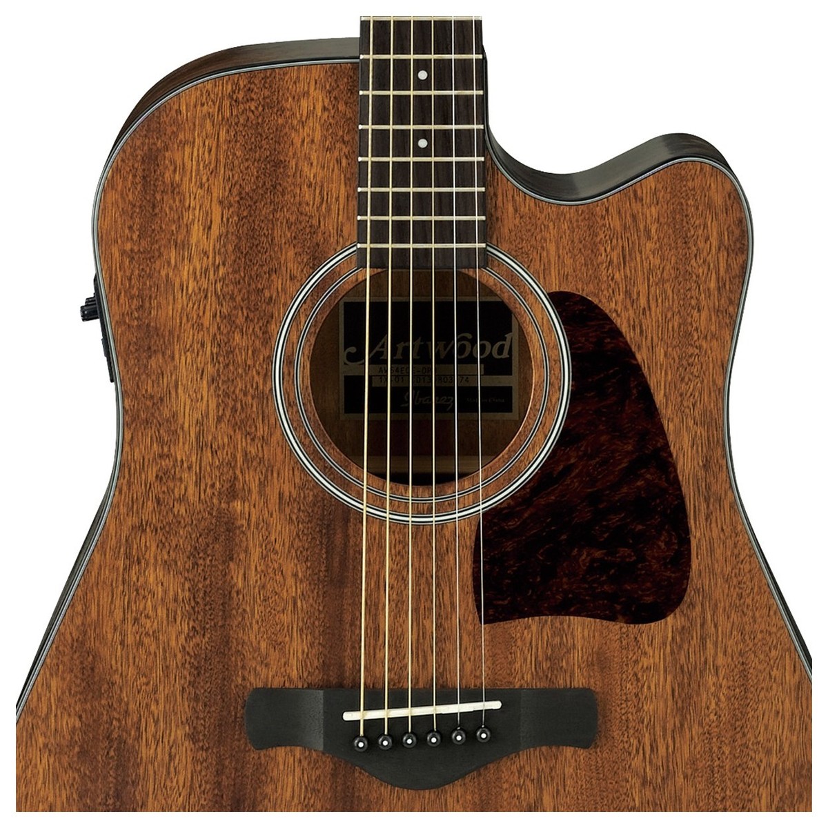 Ibanez AW54CE Artwood Open-Pore Natural