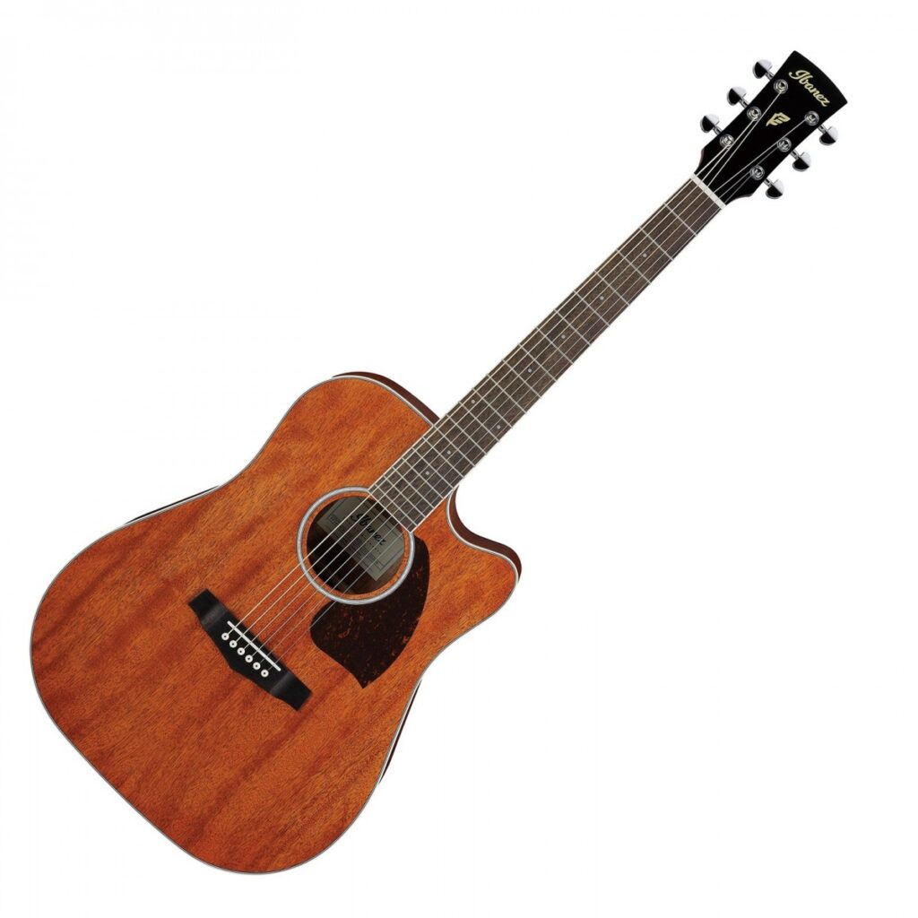 Ibanez PF16MWCE-OPN Open Pore Natural