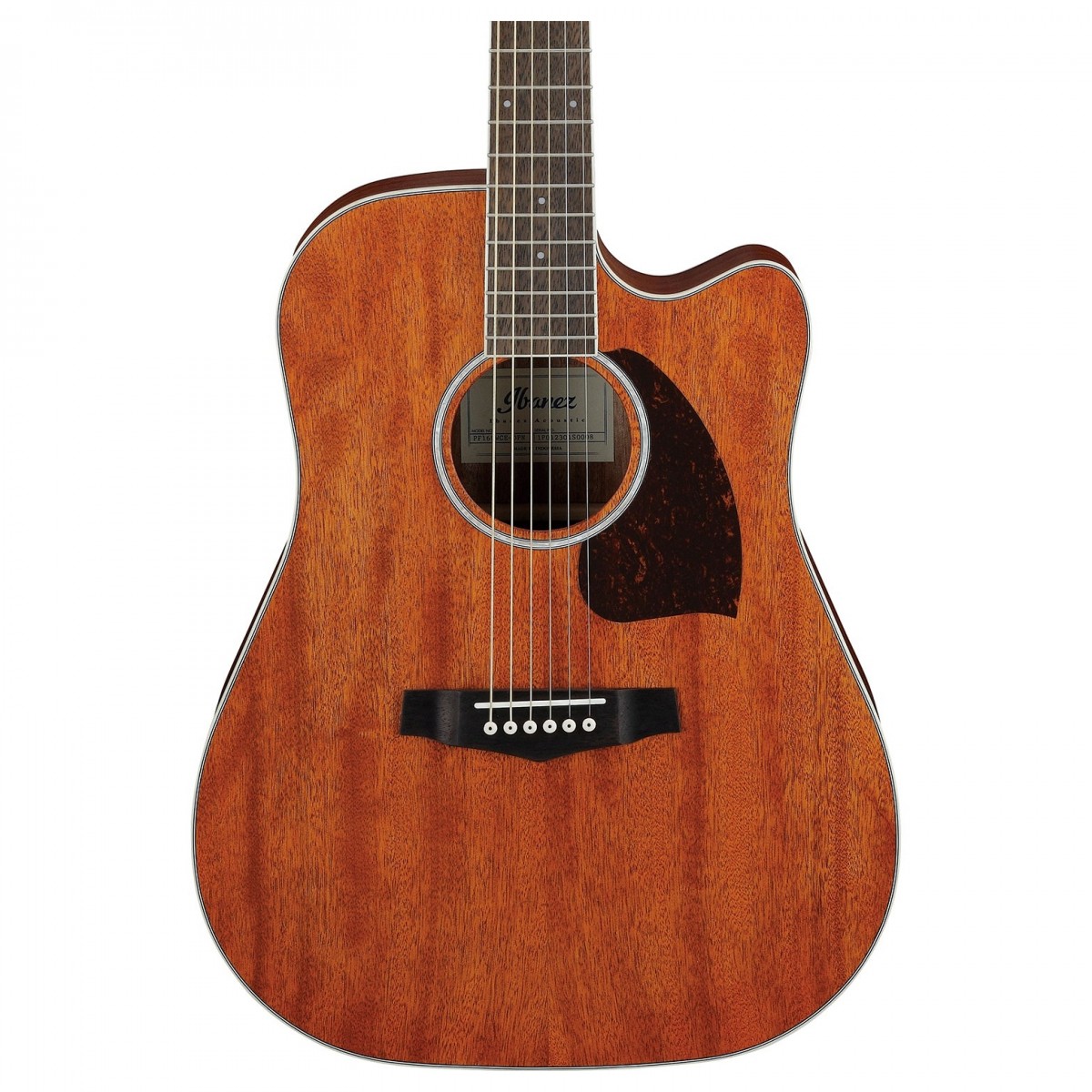 Ibanez PF16MWCE-OPN Open Pore Natural