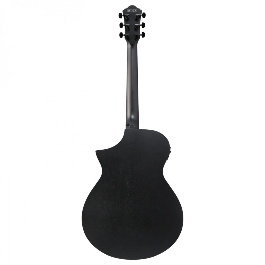 Ibanez AEWC621 Black Flat